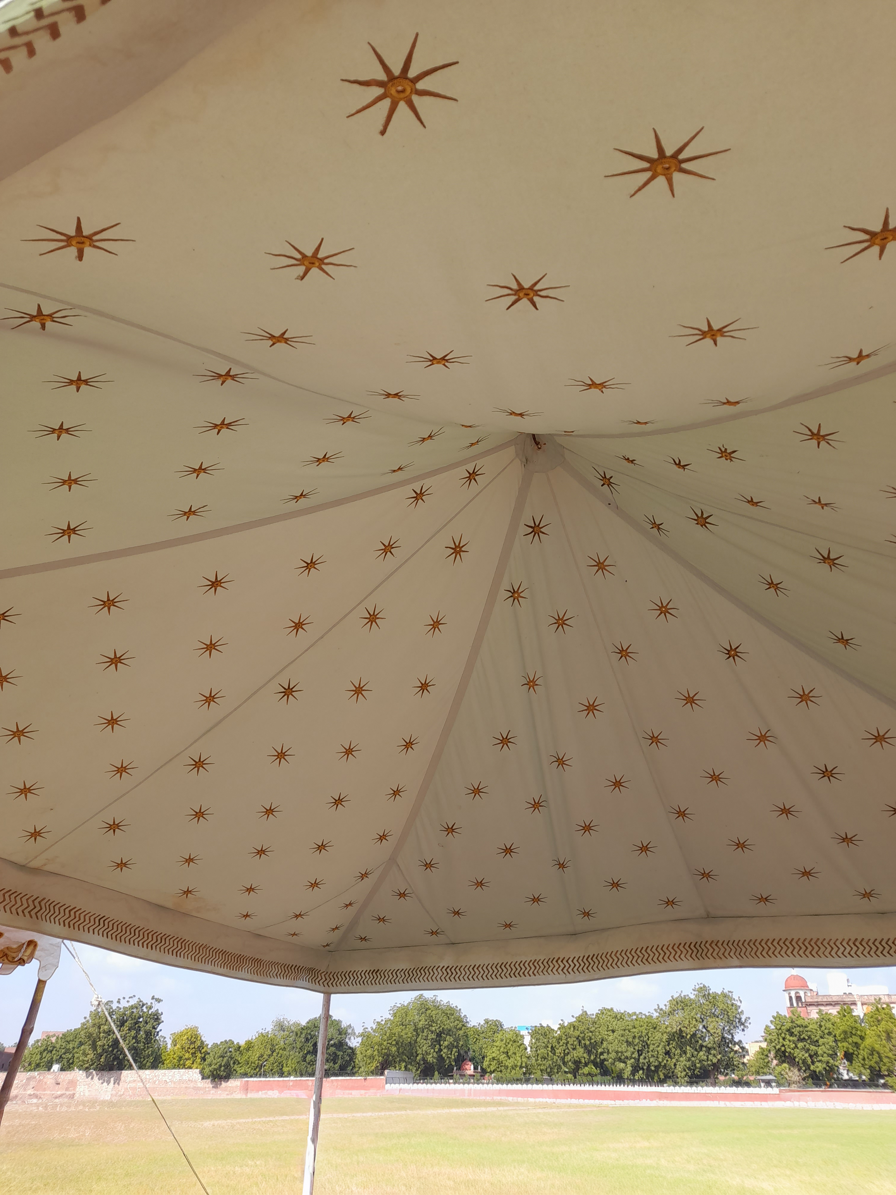 White golden-star pergola